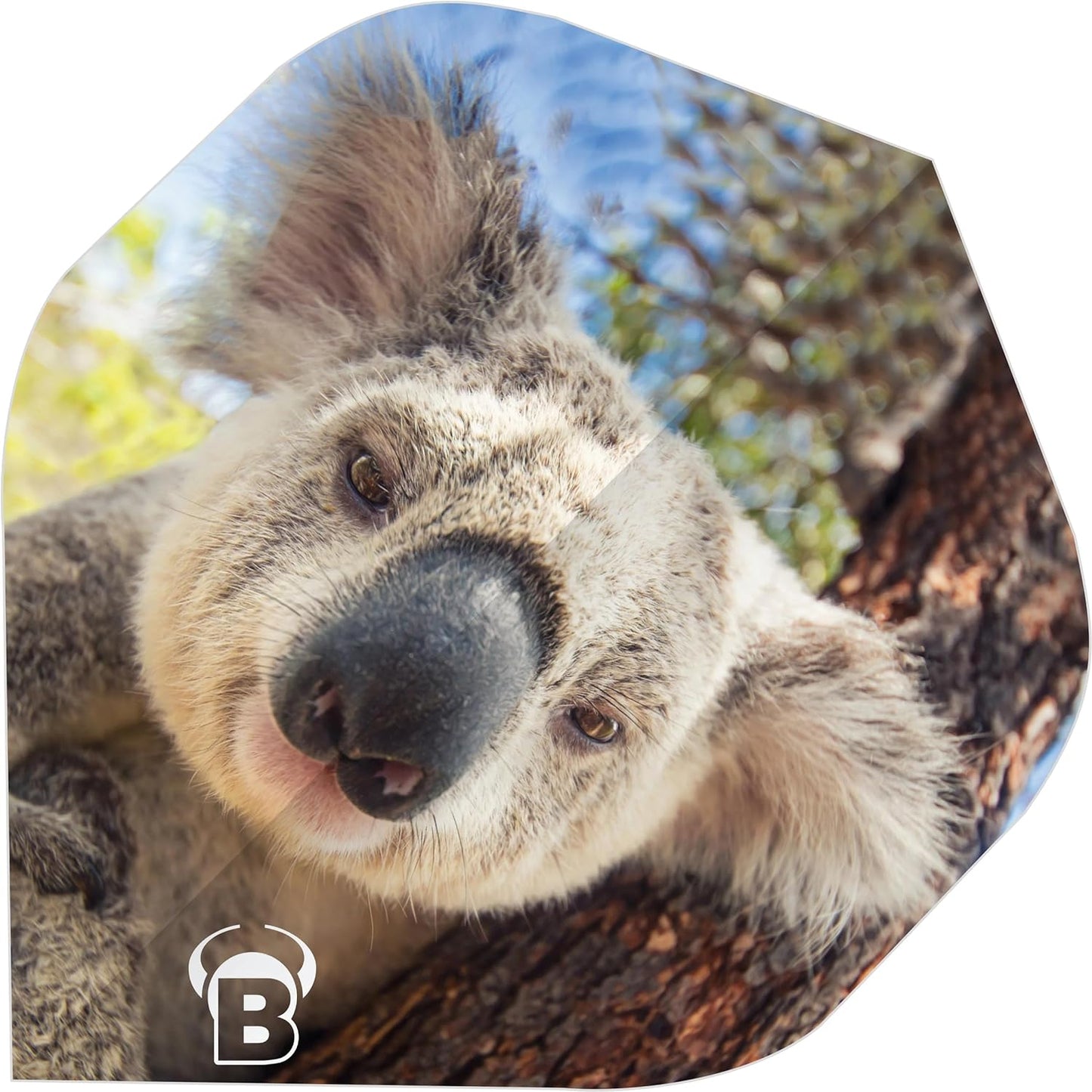 BullsDE Motex Flights | A-Standard - Koala