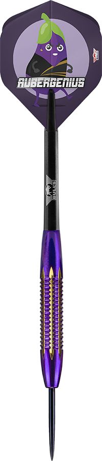 BullsNL Steel-Dart Dirk van Duijvenbode Aubergenius Brass in 21g