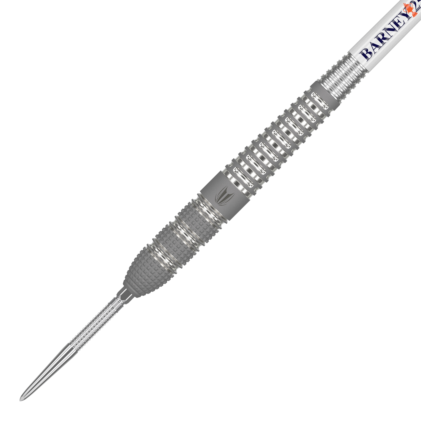 Target Raymond Van Barneveld Barney25 Swiss Point Steeldarts in 21g