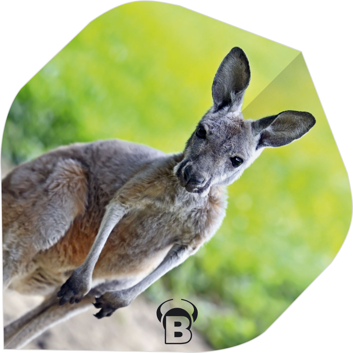 BullsDE Motex Flights | A-Standard - Kangoroo