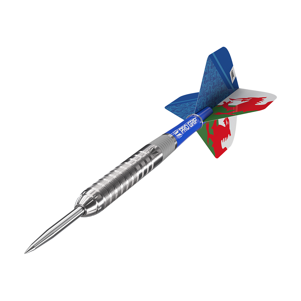Target Lewy Williams Steeldart 25g